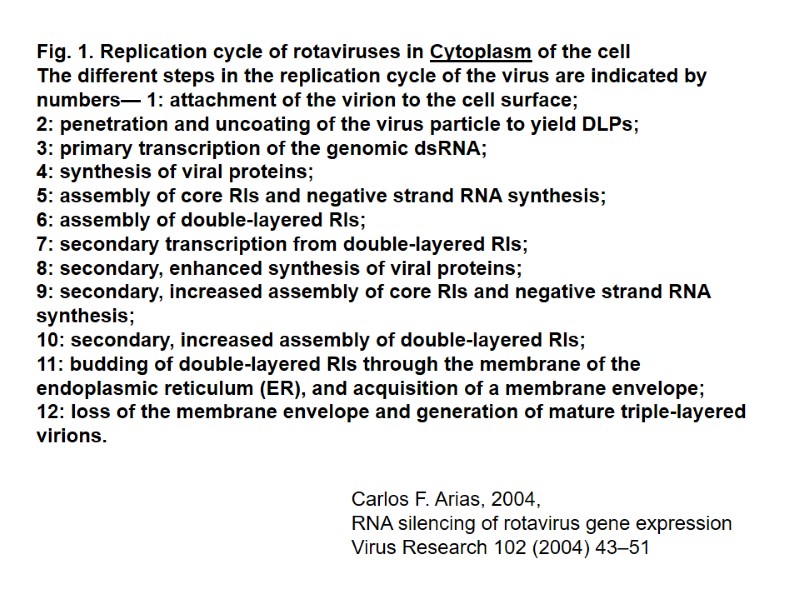 Fig. 1. Replication cycle of rotaviruses in Cytoplasm of the cell The different steps